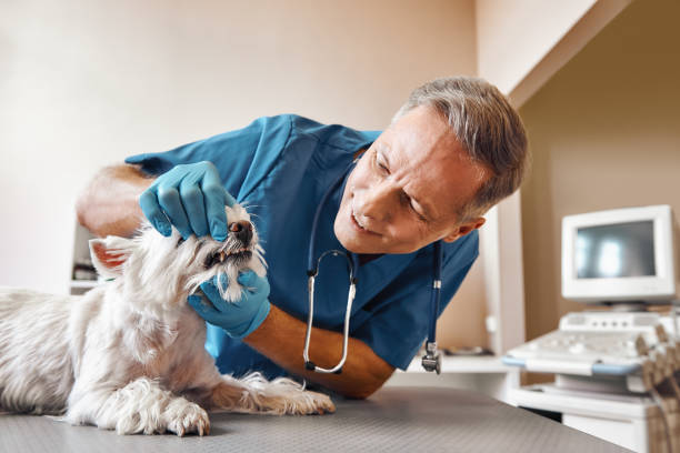 Best Emergency Dental Surgery in Waurika, OK